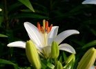 20110608_26