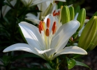 20110608_28