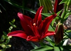 20110608_6