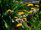 20110609_22