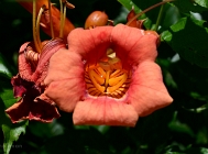 20110613_169