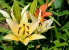 20110613_247