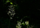 20110613_271