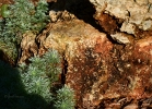 20110613_43