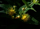 20110613_68