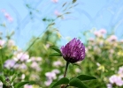 20110614_125