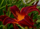 20110614_133