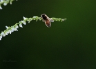20110614_165
