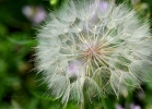 20110614_75