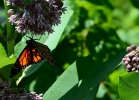 20110616_21