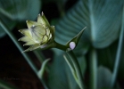 20110616_85