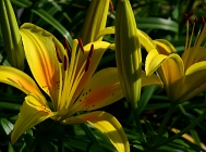 20110621_21