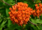 20110621_39