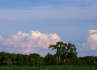 20110622_41