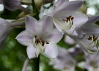 20110624_24