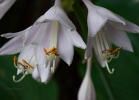 20110624_27