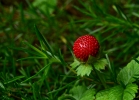 20110624_28