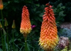 20110624_5