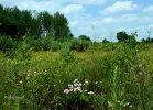 20110626_21