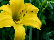 20110626_38