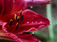 20110626_49