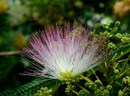 20110626_8