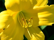 20110629_10