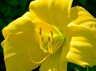 20110629_13