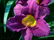 20110629_15