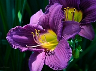 20110629_19