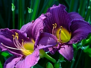 20110629_21