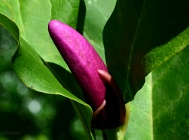 20110629_31