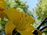 20110629_44