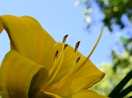 20110629_45