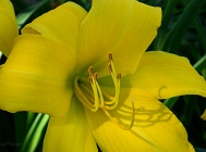 20110629_5