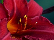 20110630_13