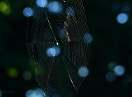 20110630_47
