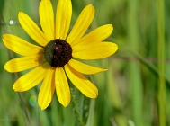 20110630_77