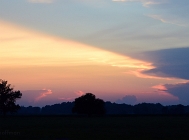 20110703_1