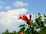 20110704_19
