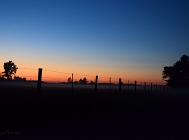 20110704_9