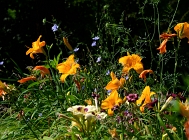 20110705_16