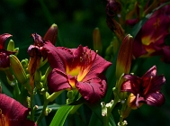 20110708_2