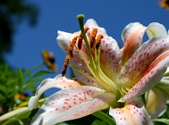 20110709_119