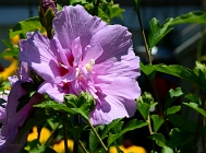 20110709_127