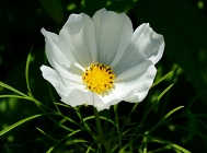20110709_134