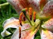 20110709_142