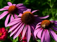 20110709_39