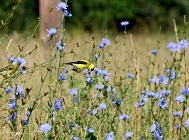 20110709_58