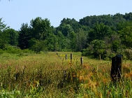 20110709_94